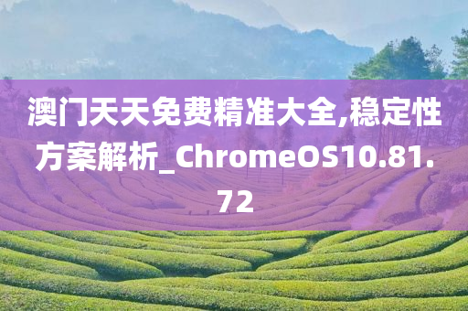 澳门天天免费精准大全,稳定性方案解析_ChromeOS10.81.72