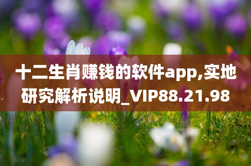 十二生肖赚钱的软件app,实地研究解析说明_VIP88.21.98