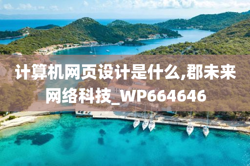 计算机网页设计是什么,郡未来网络科技_WP664646