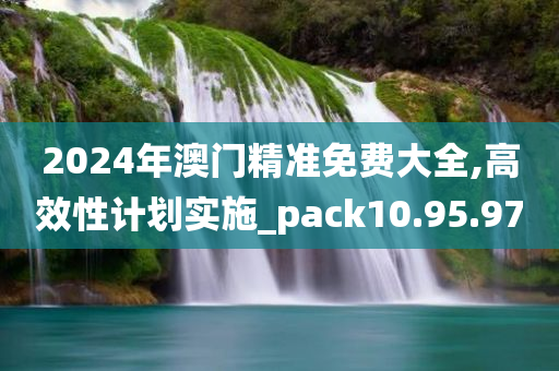 2024年澳门精准免费大全,高效性计划实施_pack10.95.97