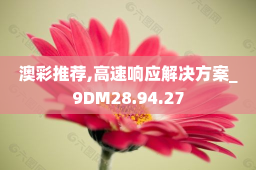 澳彩推荐,高速响应解决方案_9DM28.94.27