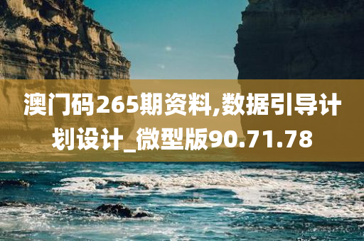 澳门码265期资料,数据引导计划设计_微型版90.71.78