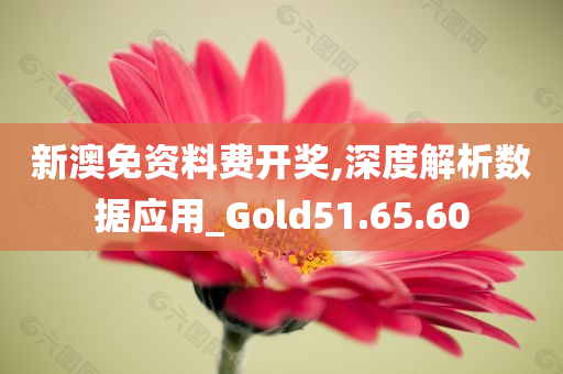 新澳免资料费开奖,深度解析数据应用_Gold51.65.60