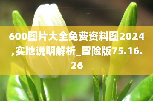 600图片大全免费资料图2024,实地说明解析_冒险版75.16.26