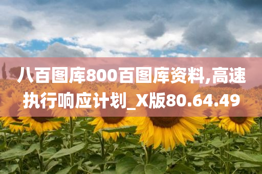 八百图库800百图库资料,高速执行响应计划_X版80.64.49