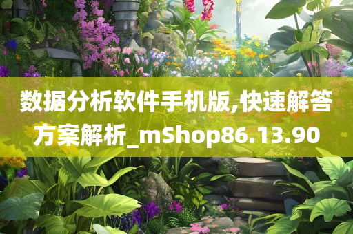 数据分析软件手机版,快速解答方案解析_mShop86.13.90