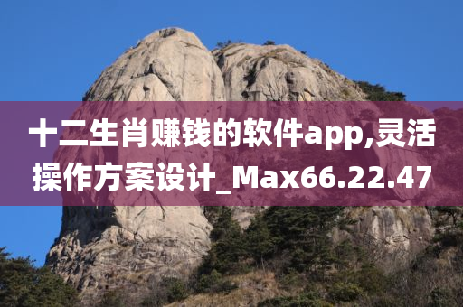 十二生肖赚钱的软件app,灵活操作方案设计_Max66.22.47