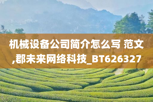 机械设备公司简介怎么写 范文,郡未来网络科技_BT626327