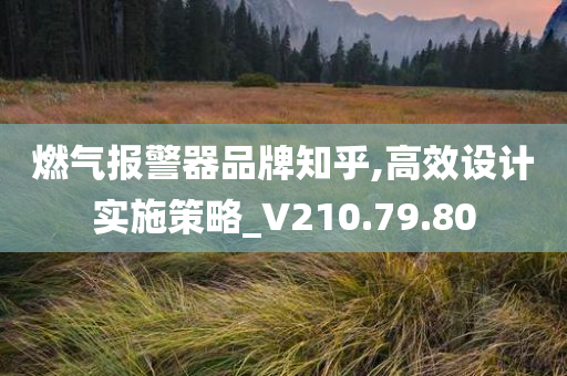 燃气报警器品牌知乎,高效设计实施策略_V210.79.80