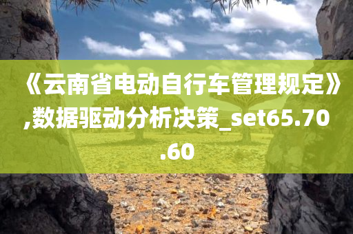 《云南省电动自行车管理规定》,数据驱动分析决策_set65.70.60