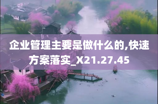 企业管理主要是做什么的,快速方案落实_X21.27.45