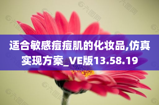 适合敏感痘痘肌的化妆品,仿真实现方案_VE版13.58.19