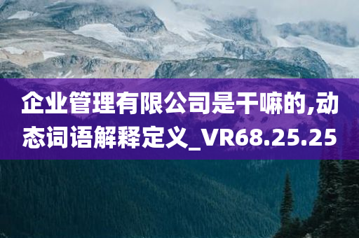 企业管理有限公司是干嘛的,动态词语解释定义_VR68.25.25