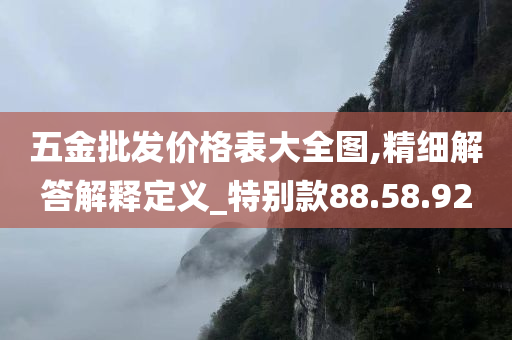 五金批发价格表大全图,精细解答解释定义_特别款88.58.92