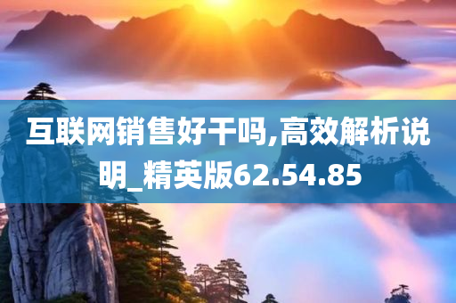 互联网销售好干吗,高效解析说明_精英版62.54.85