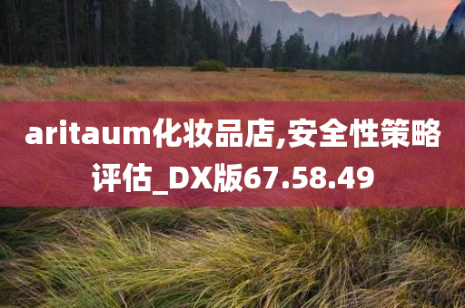 aritaum化妆品店,安全性策略评估_DX版67.58.49