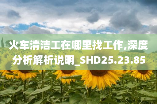 火车清洁工在哪里找工作,深度分析解析说明_SHD25.23.85