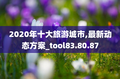 2020年十大旅游城市,最新动态方案_tool83.80.87