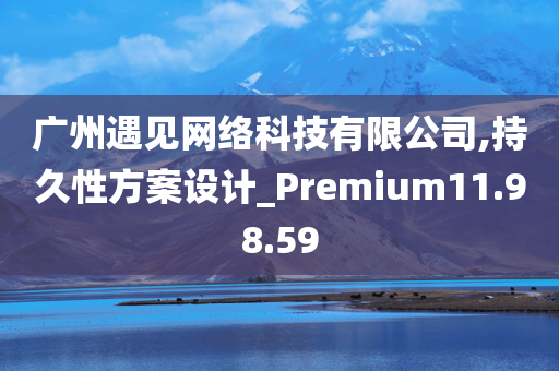 广州遇见网络科技有限公司,持久性方案设计_Premium11.98.59