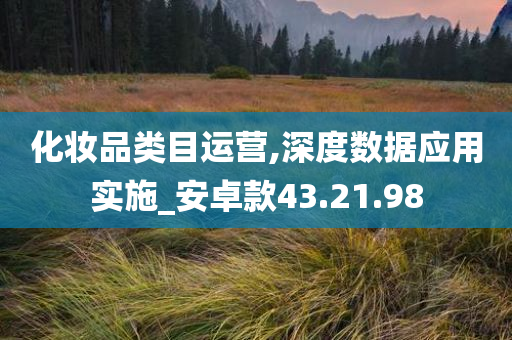 化妆品类目运营,深度数据应用实施_安卓款43.21.98