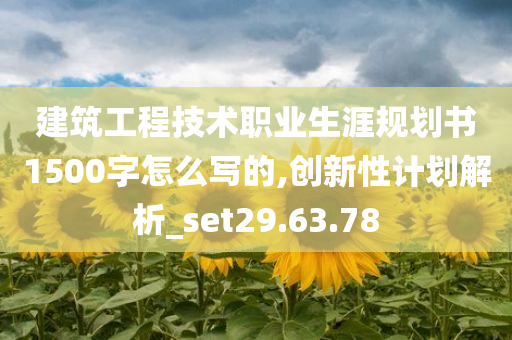 建筑工程技术职业生涯规划书1500字怎么写的,创新性计划解析_set29.63.78