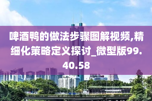 啤酒鸭的做法步骤图解视频,精细化策略定义探讨_微型版99.40.58