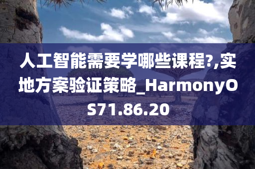 人工智能需要学哪些课程?,实地方案验证策略_HarmonyOS71.86.20