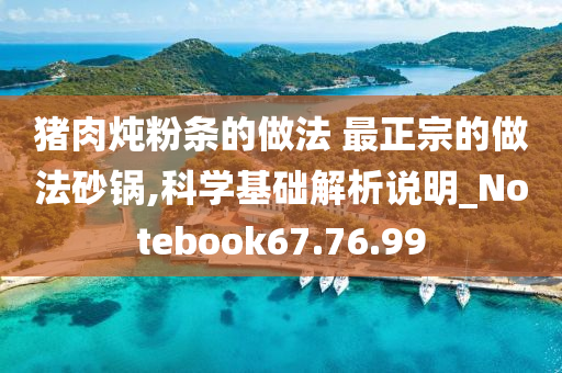 猪肉炖粉条的做法 最正宗的做法砂锅,科学基础解析说明_Notebook67.76.99