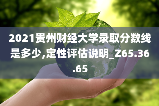 2021贵州财经大学录取分数线是多少,定性评估说明_Z65.36.65