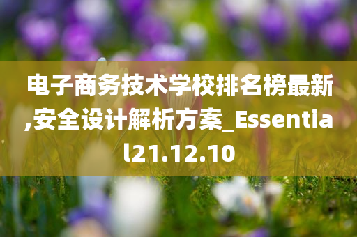 电子商务技术学校排名榜最新,安全设计解析方案_Essential21.12.10