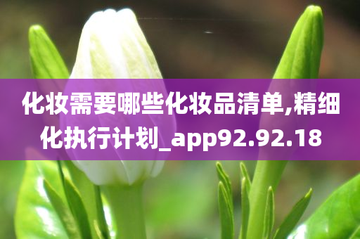 化妆需要哪些化妆品清单,精细化执行计划_app92.92.18