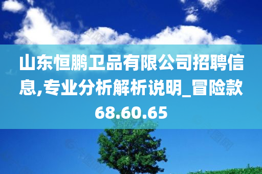 山东恒鹏卫品有限公司招聘信息,专业分析解析说明_冒险款68.60.65