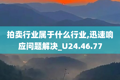 拍卖行业属于什么行业,迅速响应问题解决_U24.46.77