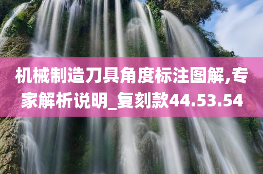 机械制造刀具角度标注图解,专家解析说明_复刻款44.53.54