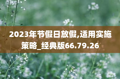 2023年节假日放假,适用实施策略_经典版66.79.26