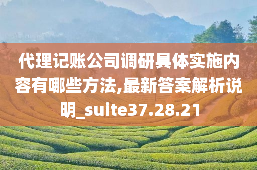 代理记账公司调研具体实施内容有哪些方法,最新答案解析说明_suite37.28.21