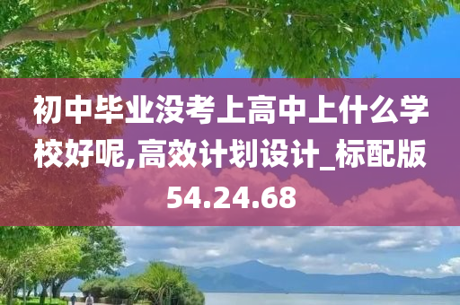 初中毕业没考上高中上什么学校好呢,高效计划设计_标配版54.24.68