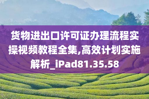 货物进出口许可证办理流程实操视频教程全集,高效计划实施解析_iPad81.35.58