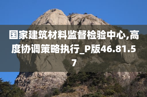 国家建筑材料监督检验中心,高度协调策略执行_P版46.81.57