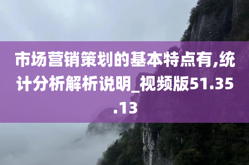 市场营销策划的基本特点有,统计分析解析说明_视频版51.35.13