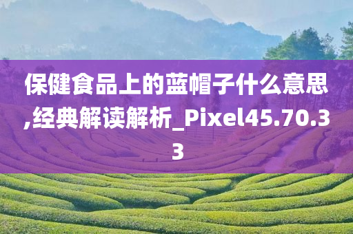 保健食品上的蓝帽子什么意思,经典解读解析_Pixel45.70.33