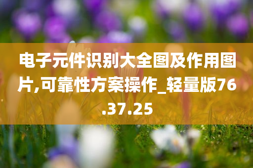 电子元件识别大全图及作用图片,可靠性方案操作_轻量版76.37.25