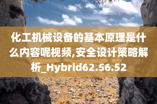 化工机械设备的基本原理是什么内容呢视频,安全设计策略解析_Hybrid62.56.52