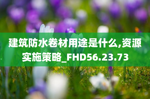 建筑防水卷材用途是什么,资源实施策略_FHD56.23.73