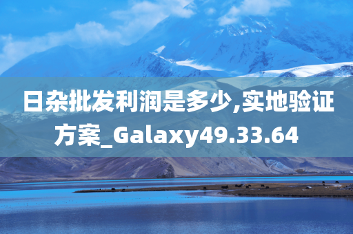 日杂批发利润是多少,实地验证方案_Galaxy49.33.64