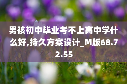 男孩初中毕业考不上高中学什么好,持久方案设计_M版68.72.55