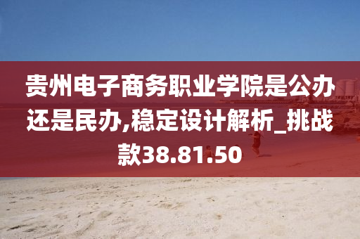 贵州电子商务职业学院是公办还是民办,稳定设计解析_挑战款38.81.50