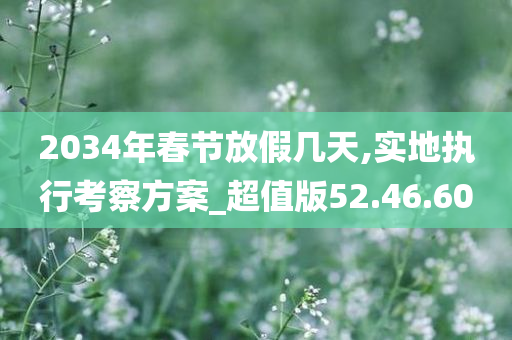 2034年春节放假几天,实地执行考察方案_超值版52.46.60