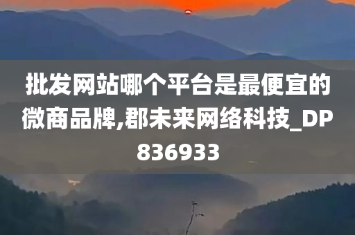 批发网站哪个平台是最便宜的微商品牌,郡未来网络科技_DP836933