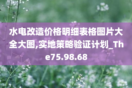 水电改造价格明细表格图片大全大图,实地策略验证计划_The75.98.68